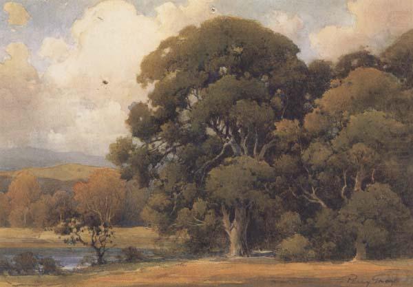 Large Oak, unknow artist